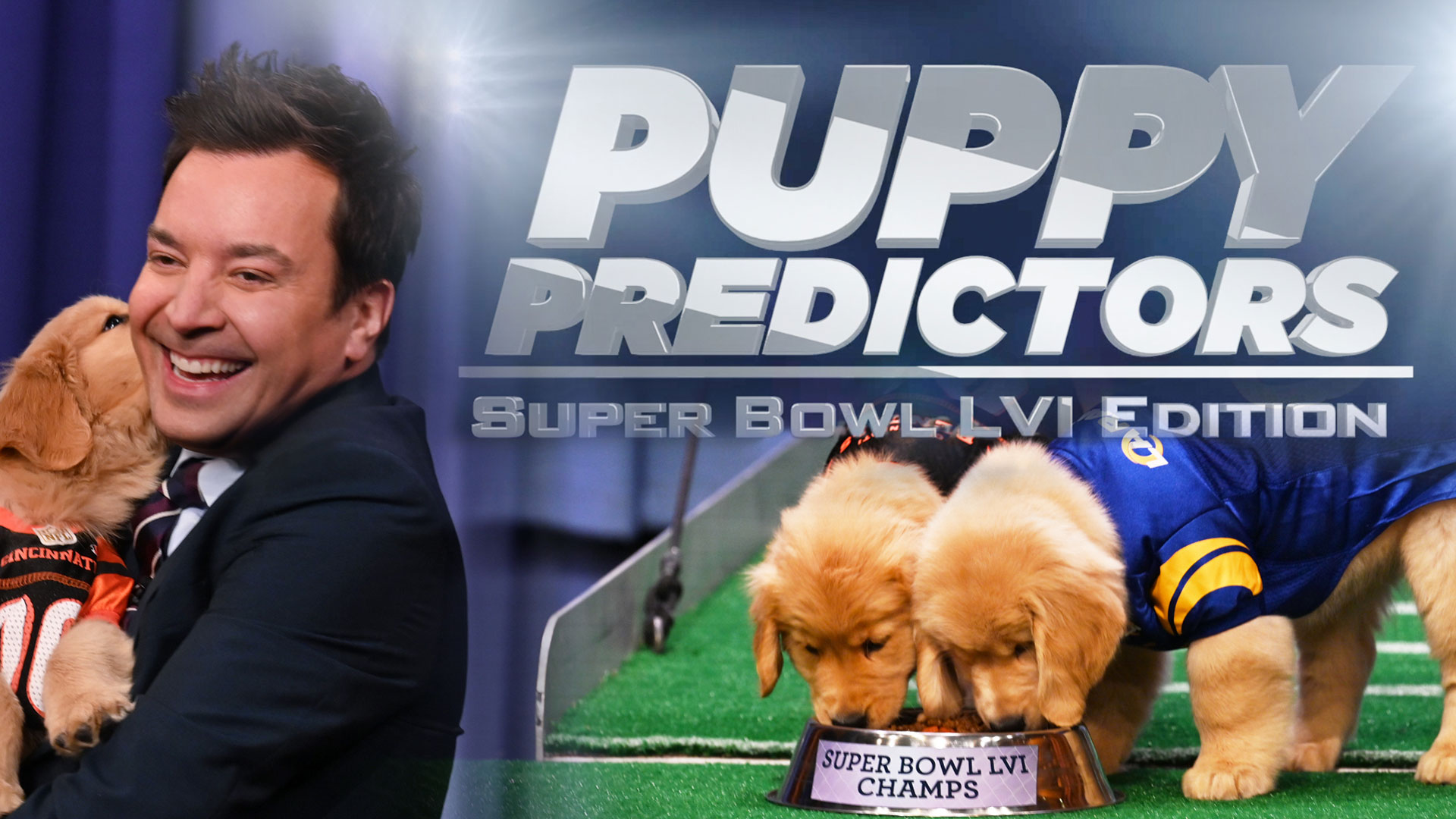 Watch The Tonight Show Starring Jimmy Fallon Highlight Puppies Predict