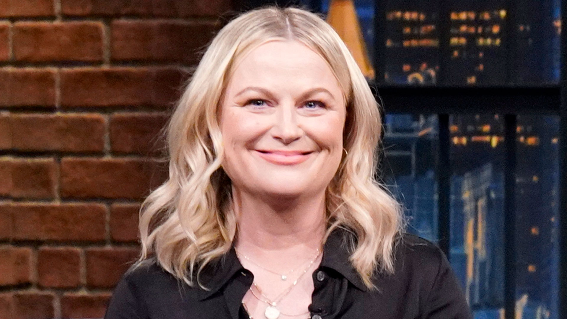 Watch Late Night With Seth Meyers Episode Amy Poehler Jeffrey Wright 1410