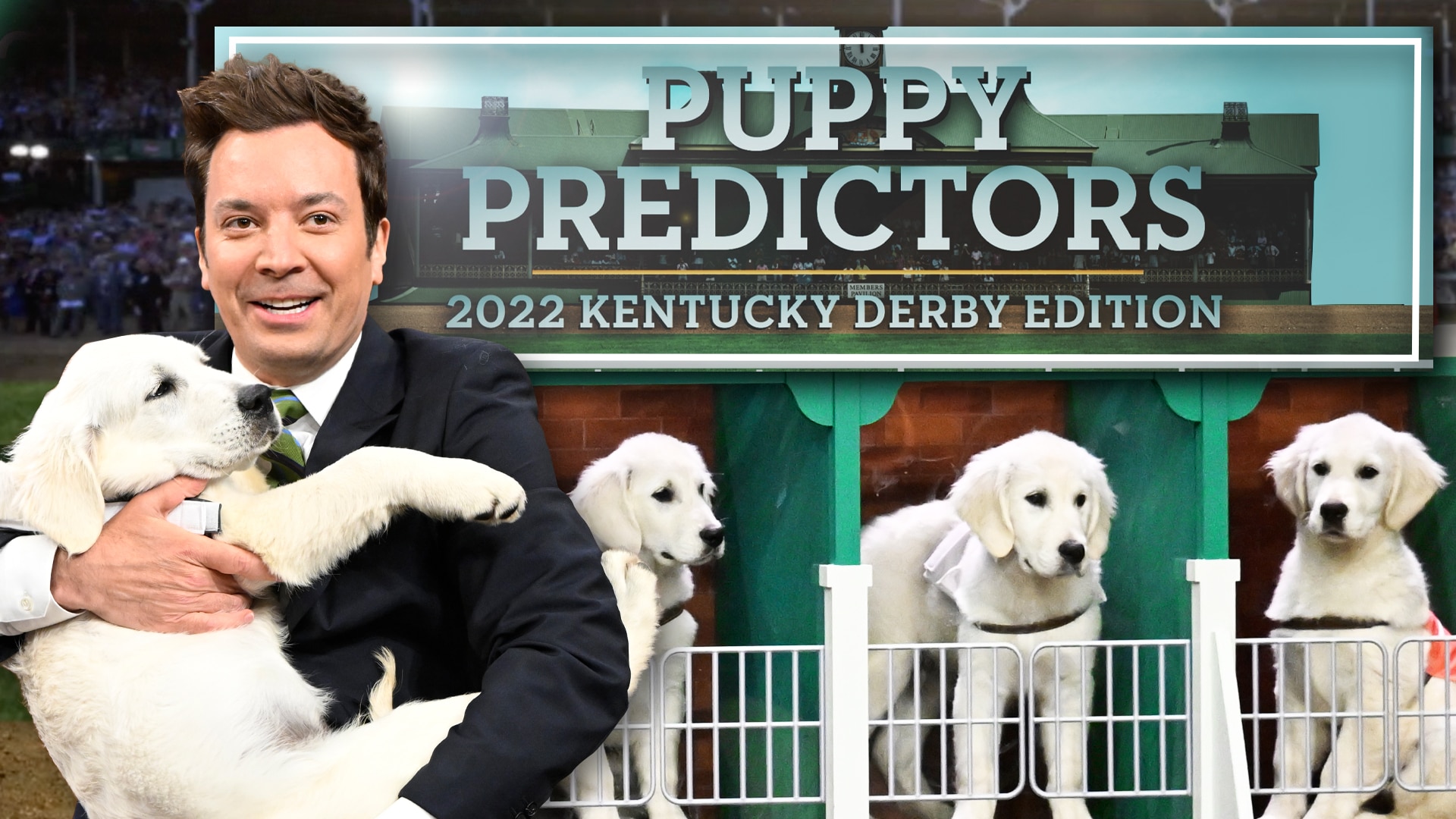 Watch The Tonight Show Starring Jimmy Fallon Highlight Puppies Predict