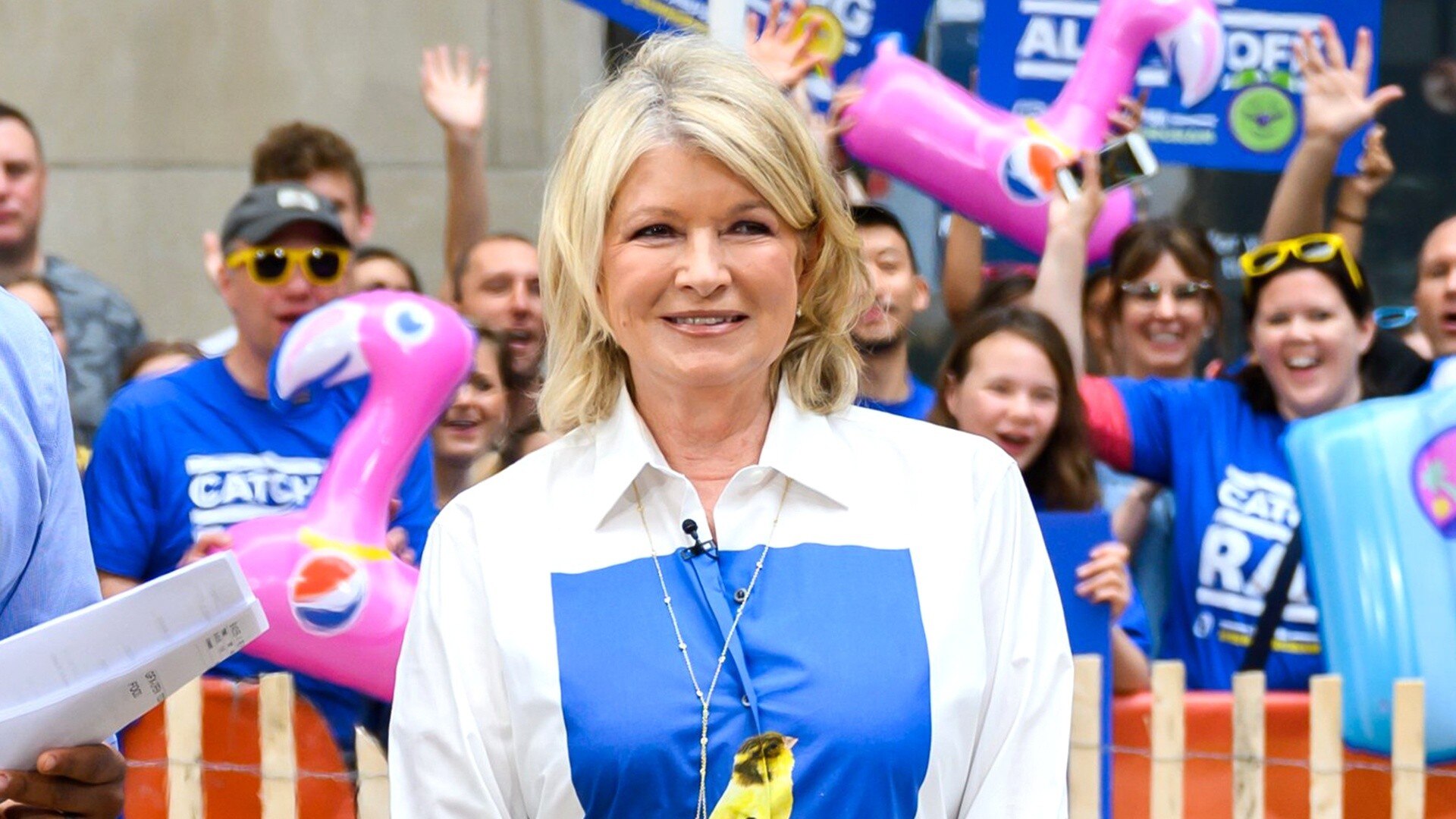 Watch TODAY Excerpt See the patriotic pies Martha Stewart made for the