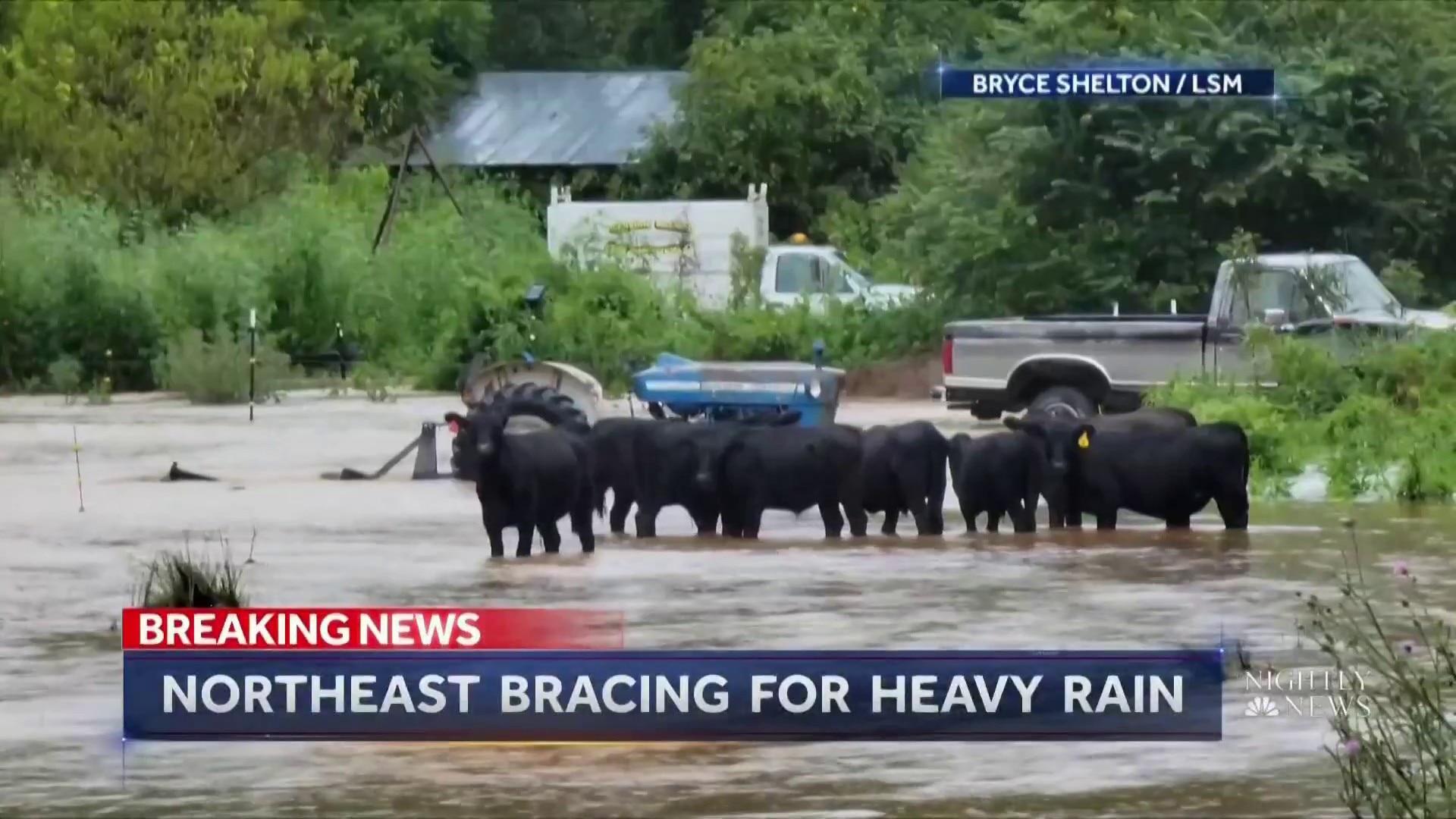 Watch NBC Nightly News with Lester Holt Excerpt Tourists stranded at
