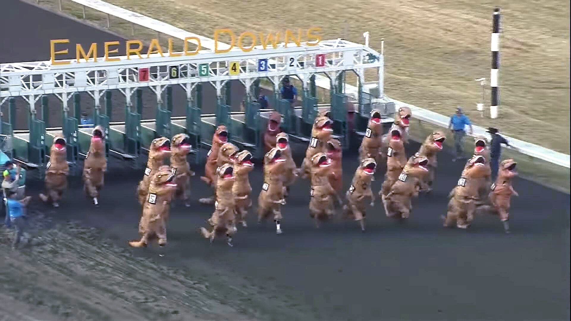 Watch TODAY Excerpt: See the epic race between a massive hoard of T-Rex ...