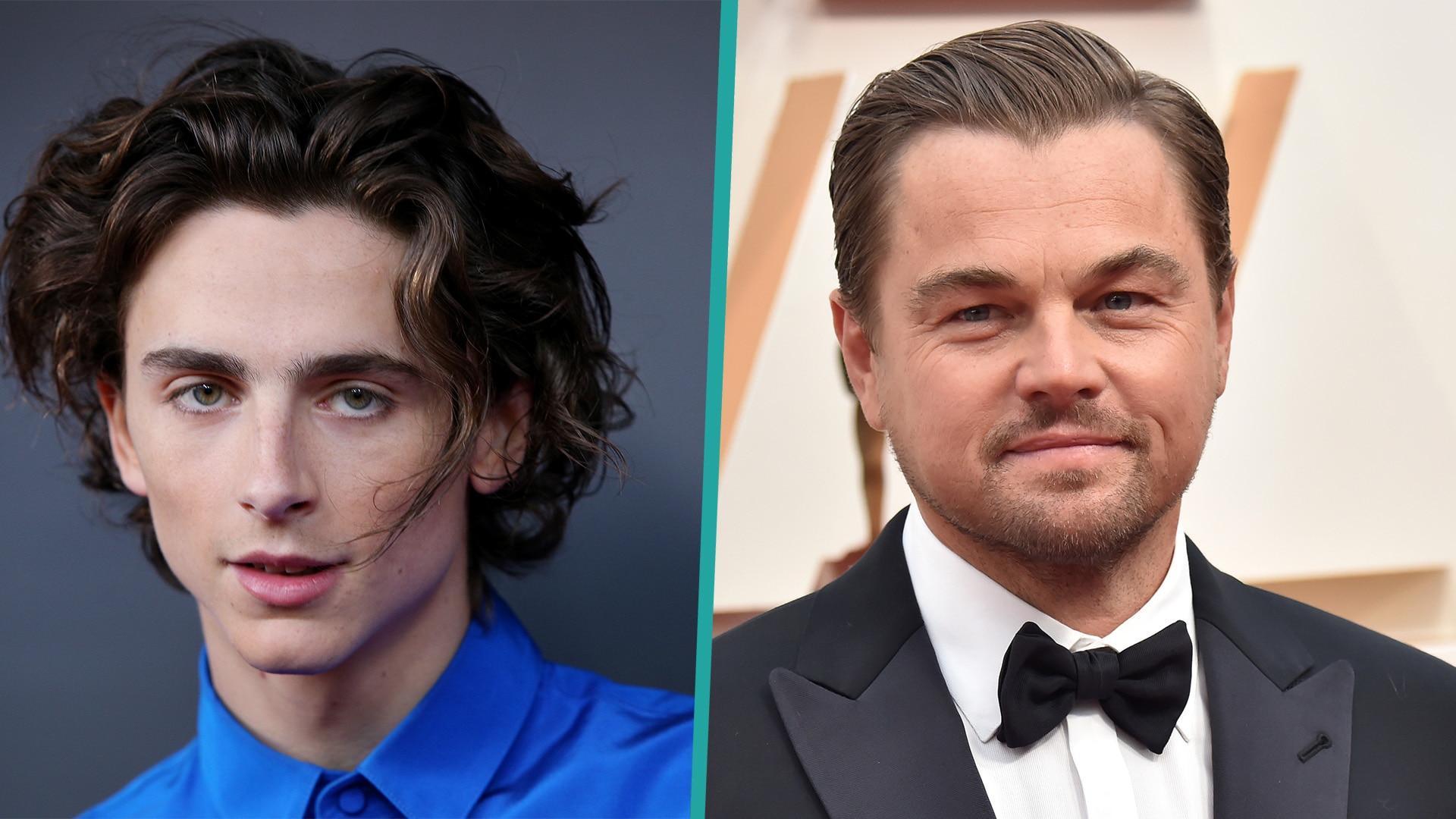 Watch Access Hollywood Highlight Timothée Chalamet Says Leonardo(01)