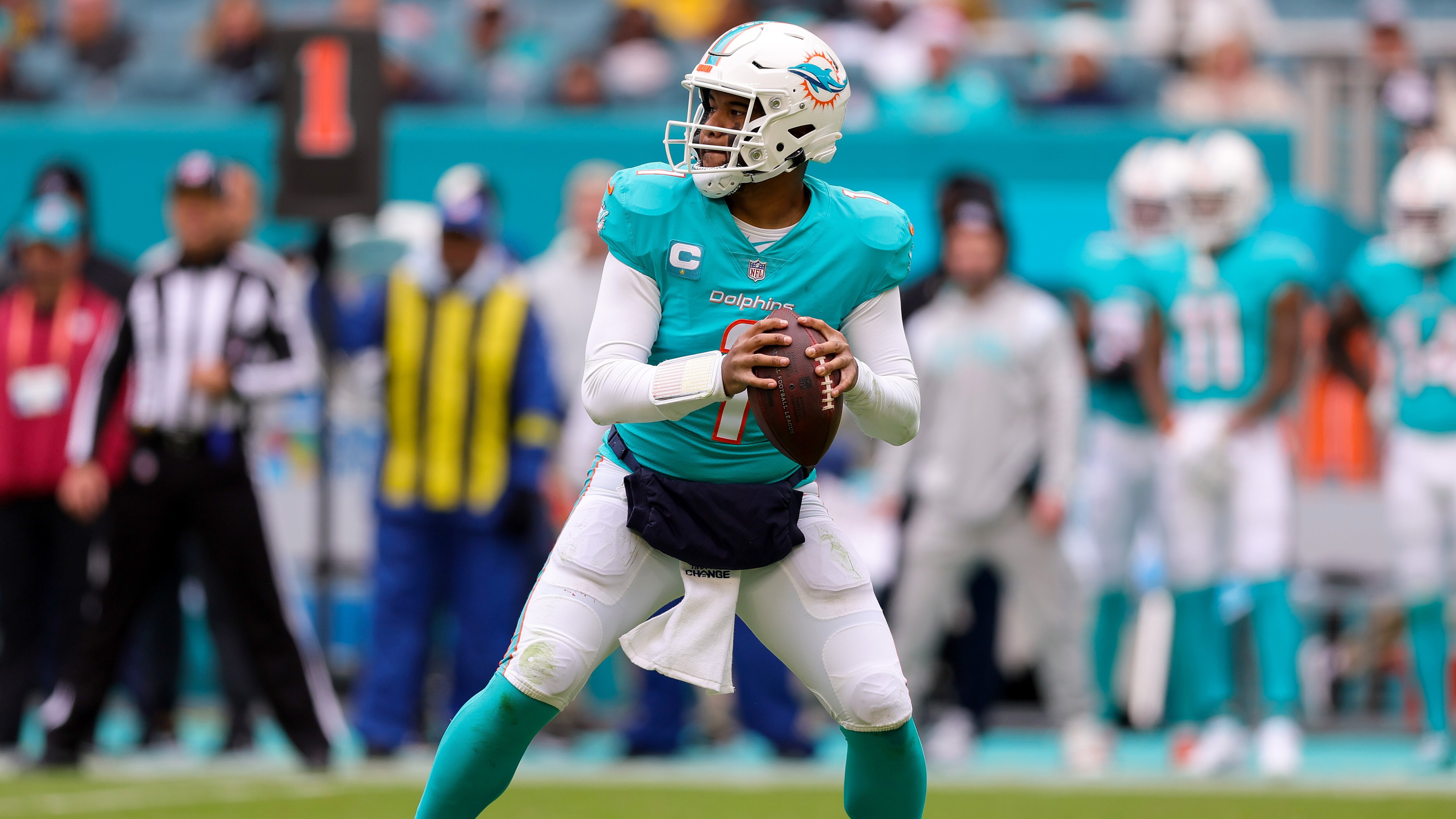 Watch ProFootballTalk Clip: NFL, Dolphins can't afford to risk