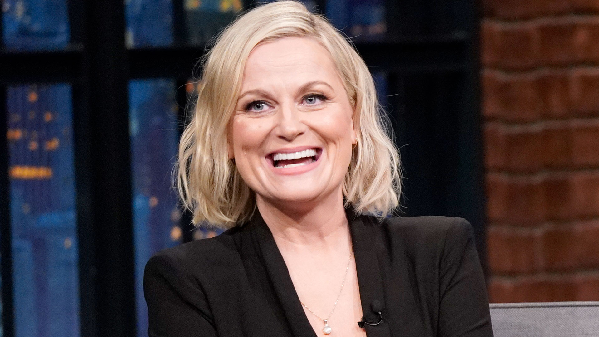 Watch Late Night With Seth Meyers Highlight Amy Poehler Rants Against Robots And Artificial 