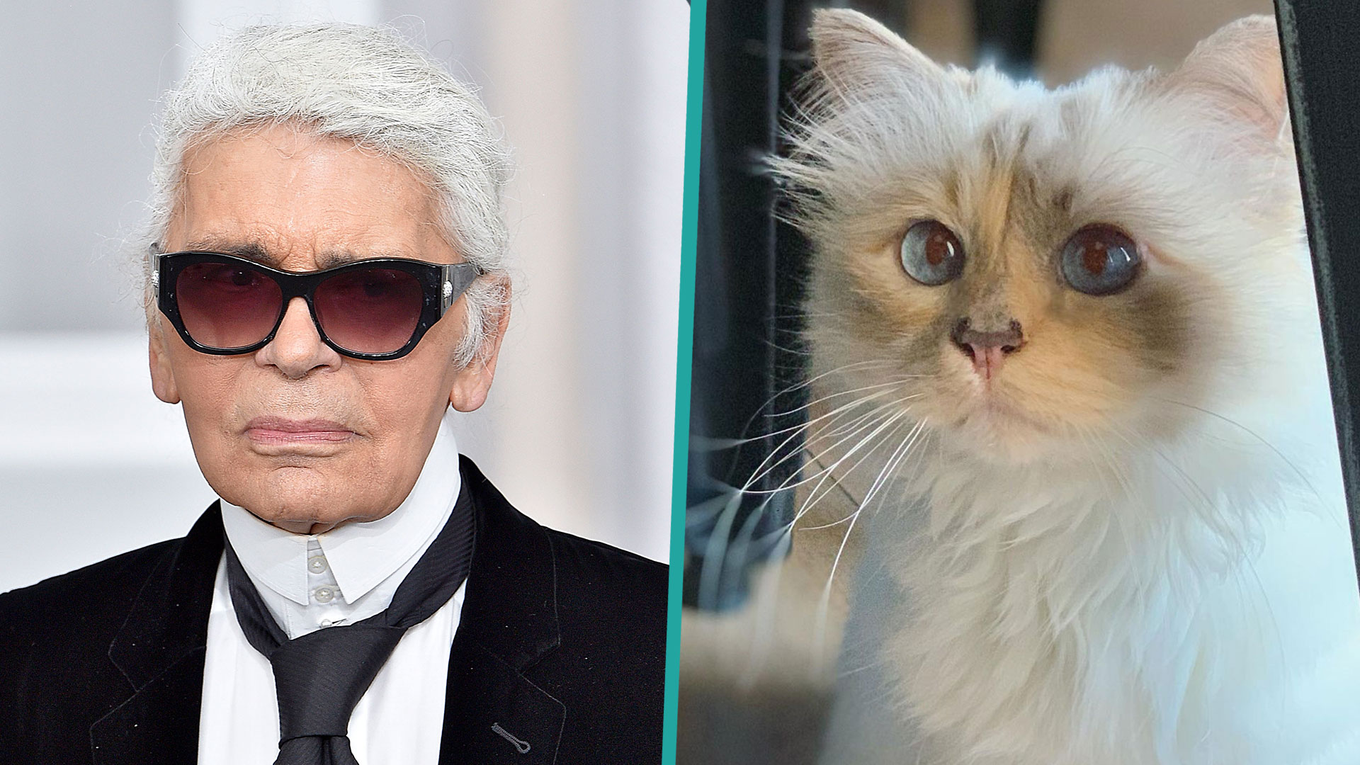 Watch Access Hollywood Highlight: Inside Karl Lagerfeld's Cat Choupette ...