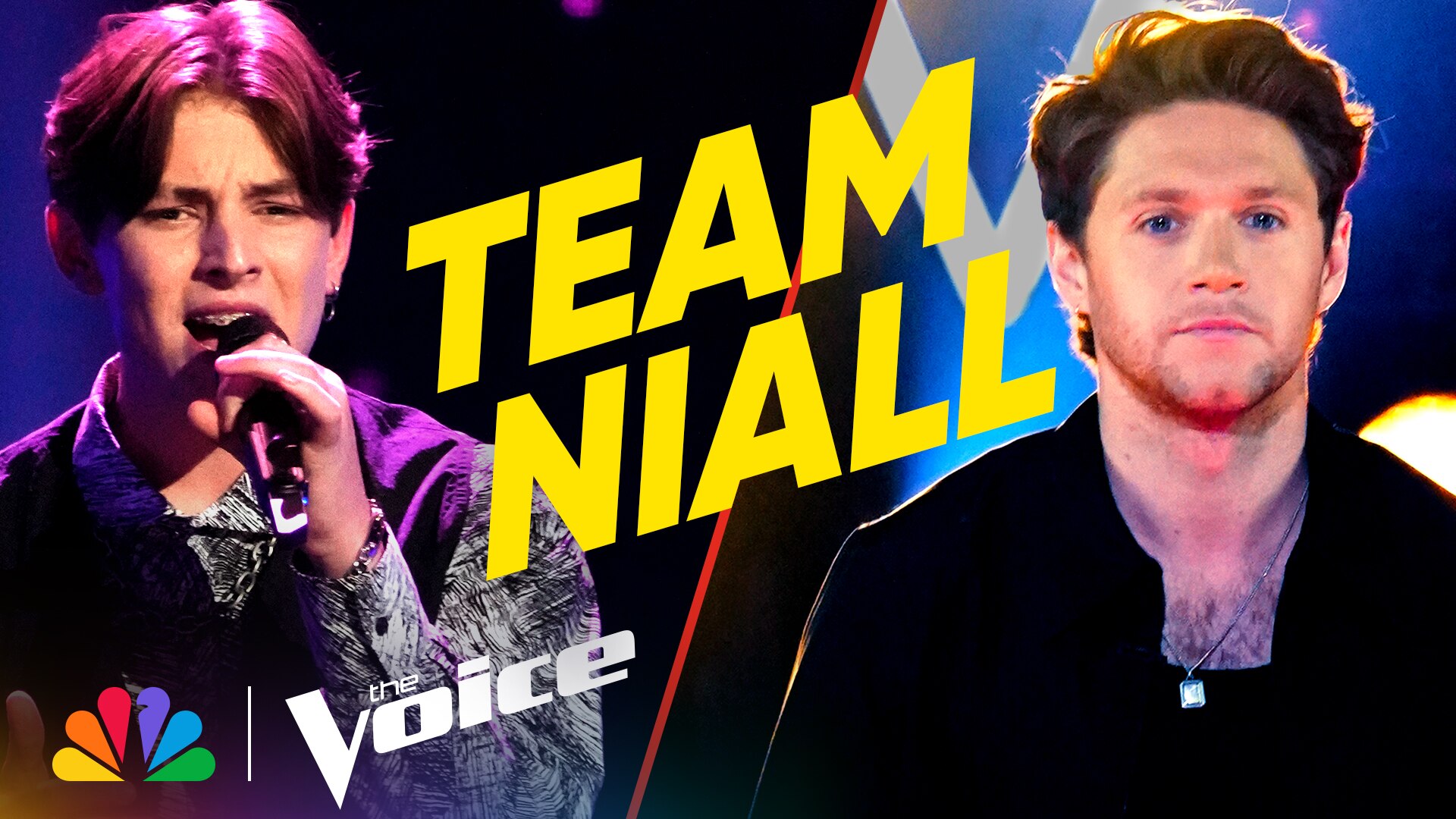 Watch The Voice Web Exclusive The Best Blind Auditions from Team Niall