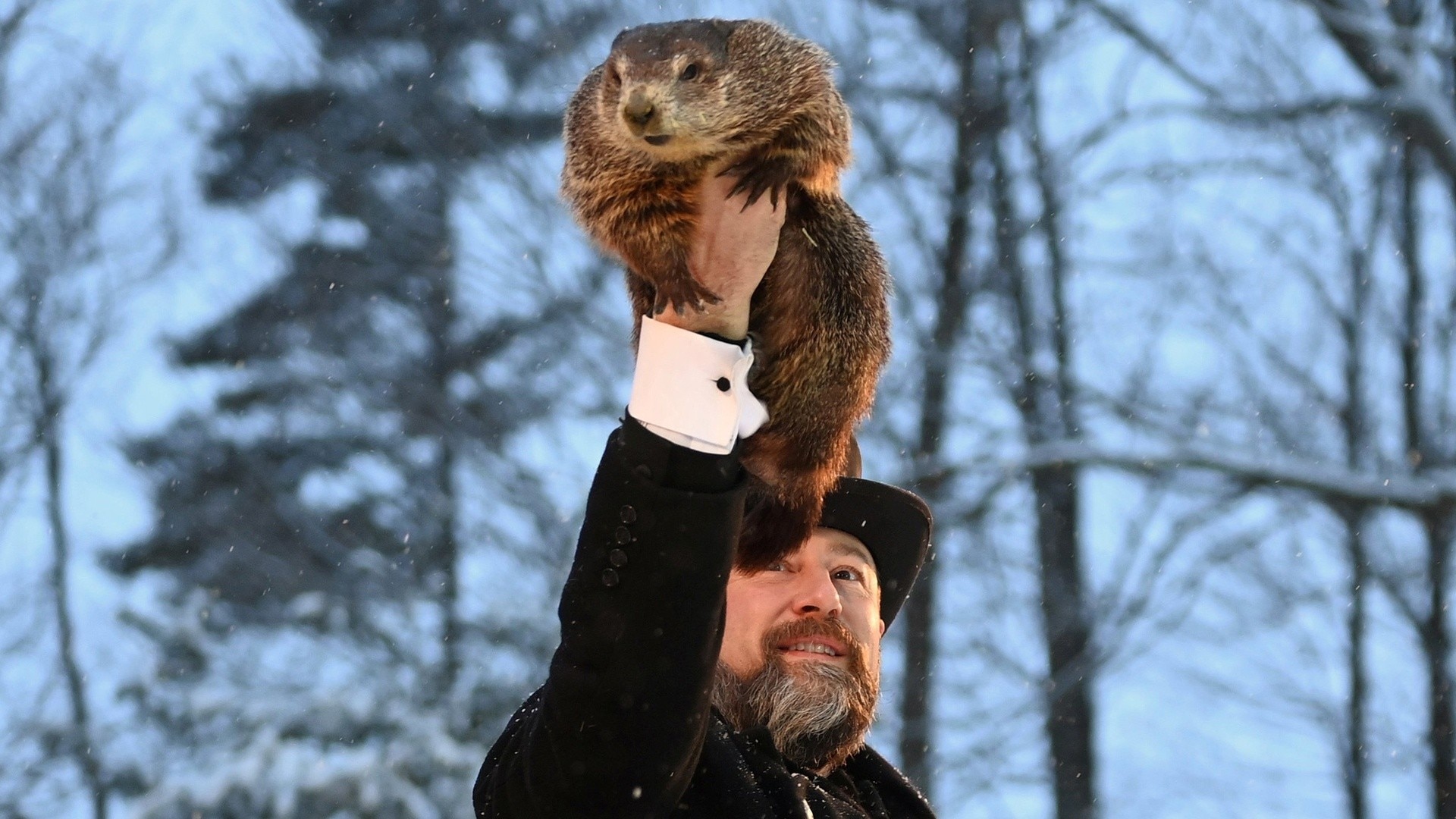 Watch TODAY Excerpt Groundhog Day 2023 Punxsutawney Phil makes his