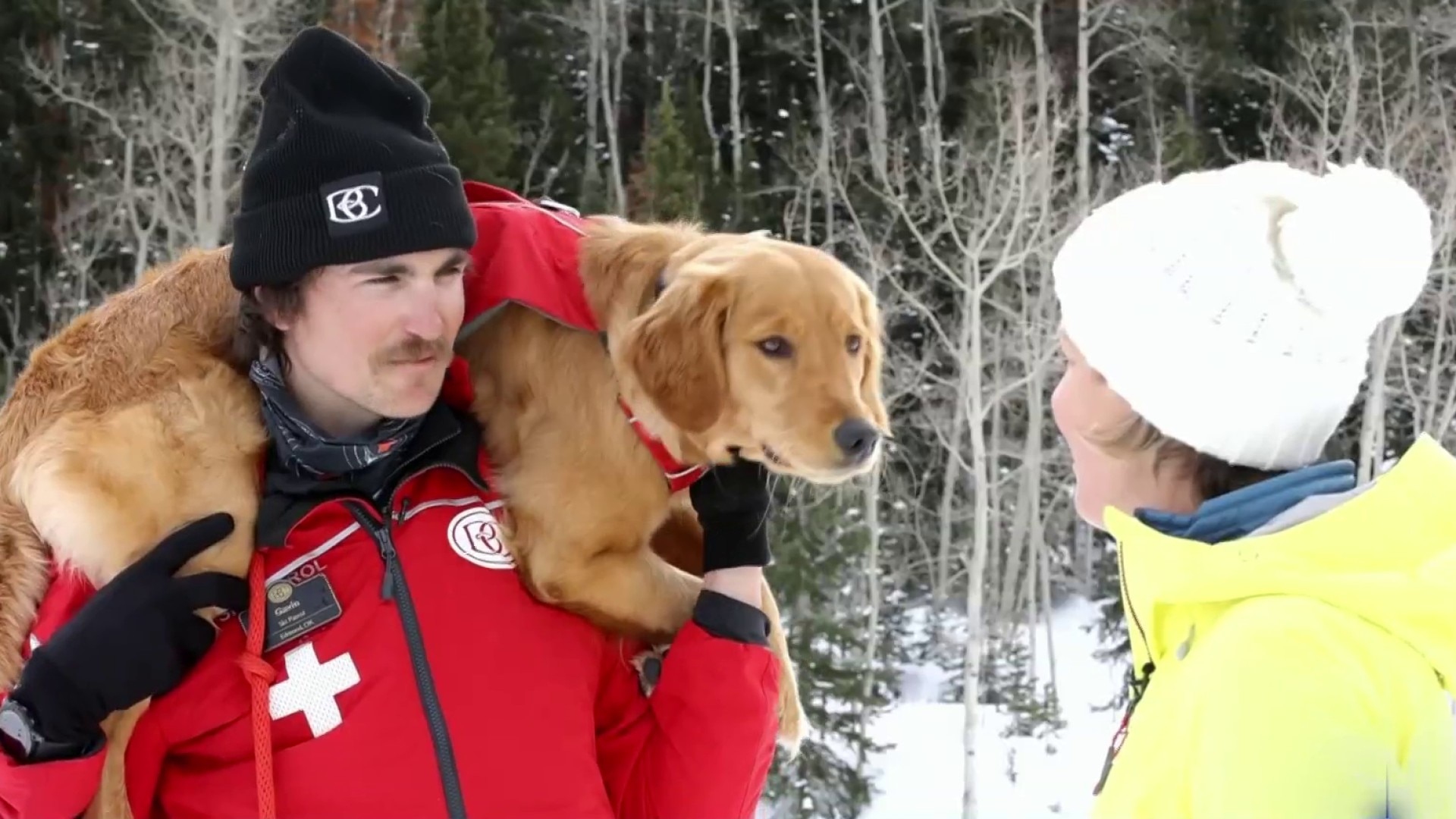 Watch NBC Nightly News with Lester Holt Excerpt Rescue dogs train to