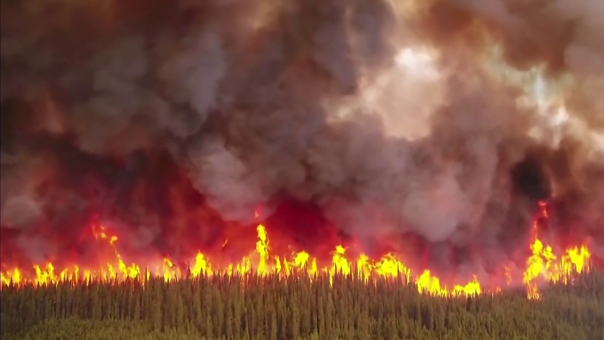 Watch Noticias Telemundo Highlight Bomberos en Canadá provocan un