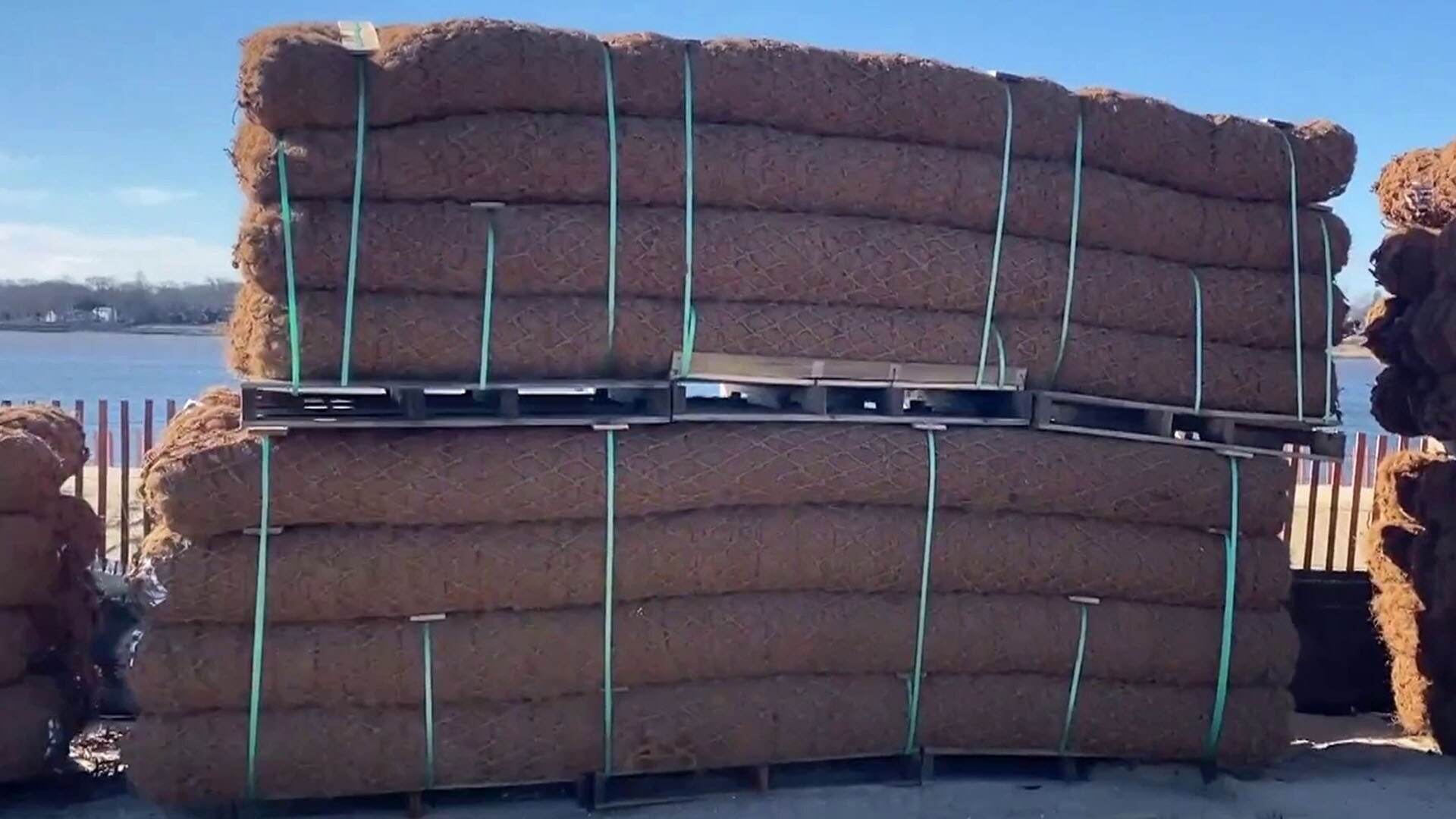 Watch TODAY Excerpt How coconuts are being used to protect shorelines