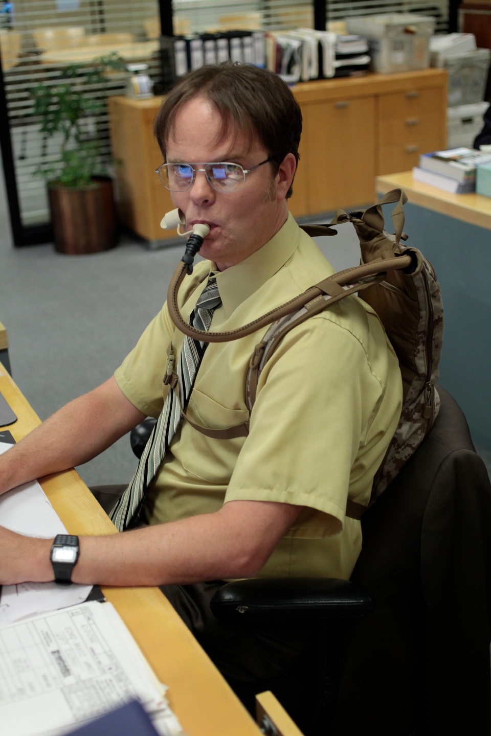 the-office-dwight-facts-photo-605431-nbc