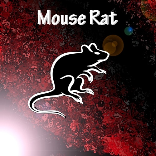 parks and rec mouse rat shirt