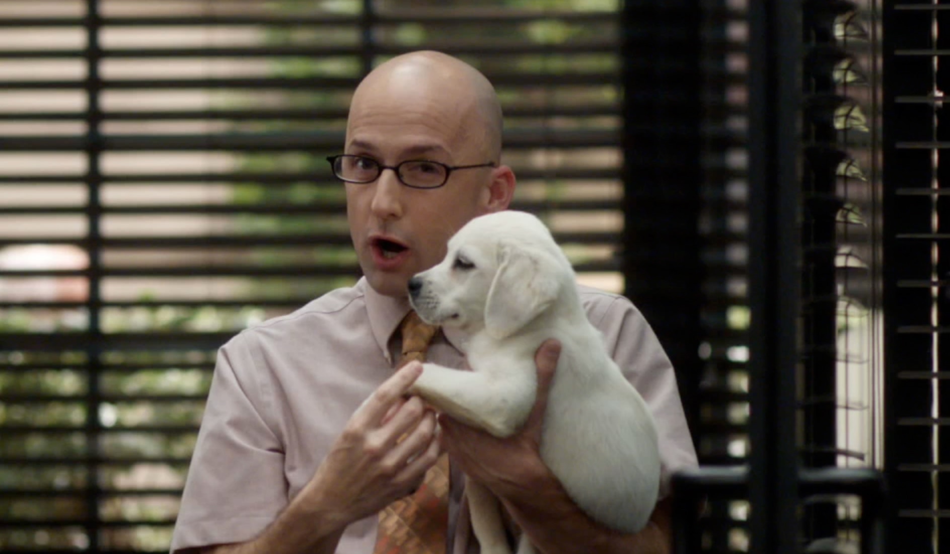 Community Dean Pelton Fashionista Photo 543476