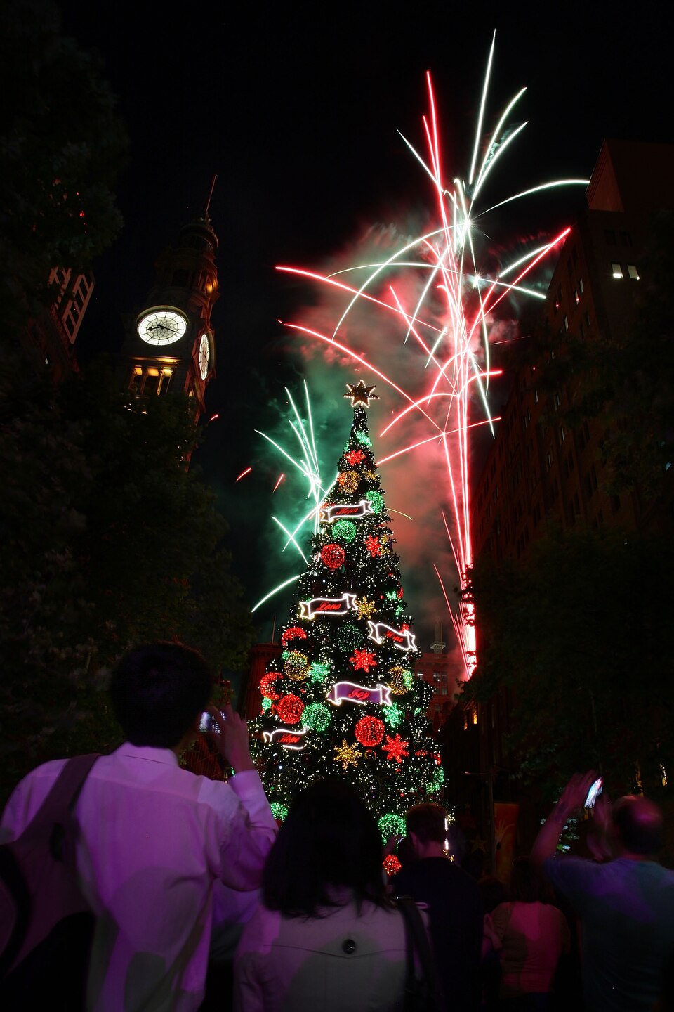 Christmas in Rockefeller Center: Christmas Trees From Around the World