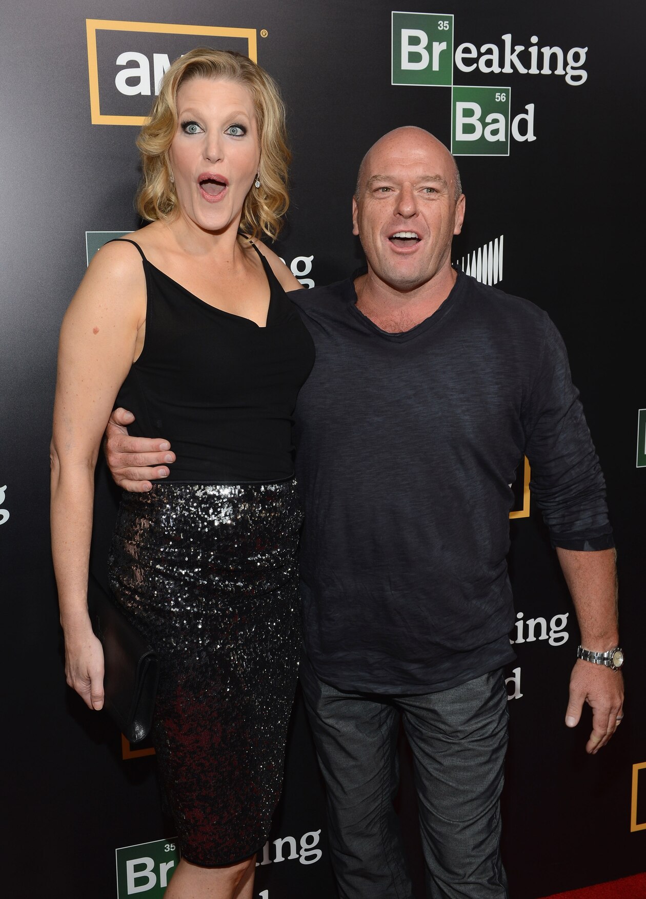 Dea Agent Hank Schrader Exposed The Hidden Truth Behind His Famed Case - bo4633n